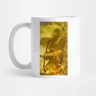 Autumn Vine - by South Australian artist Avril Thomas Mug